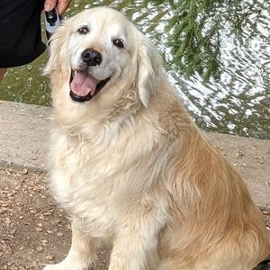 Meet your Posher, Gerry